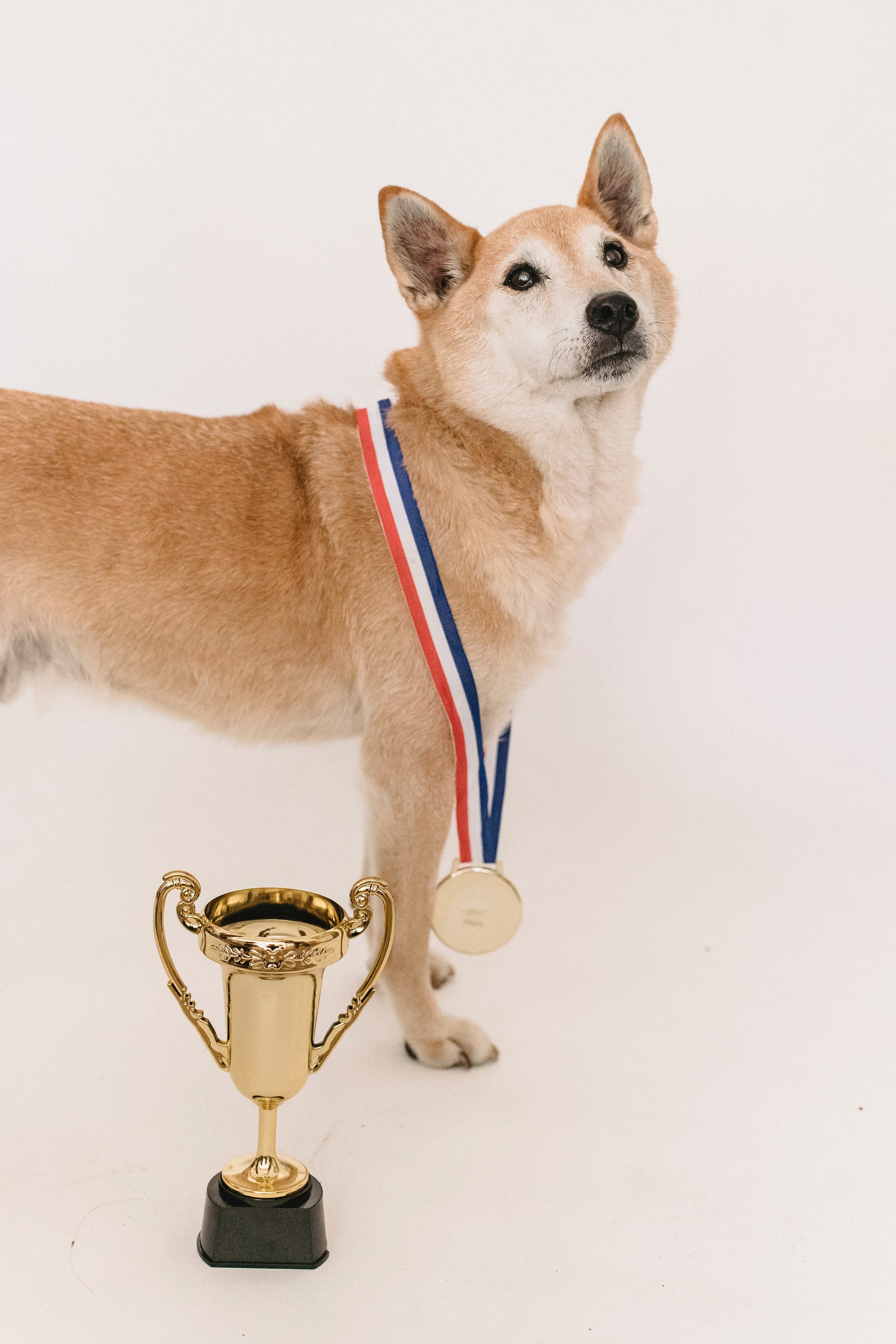Medal Child: Top Dog