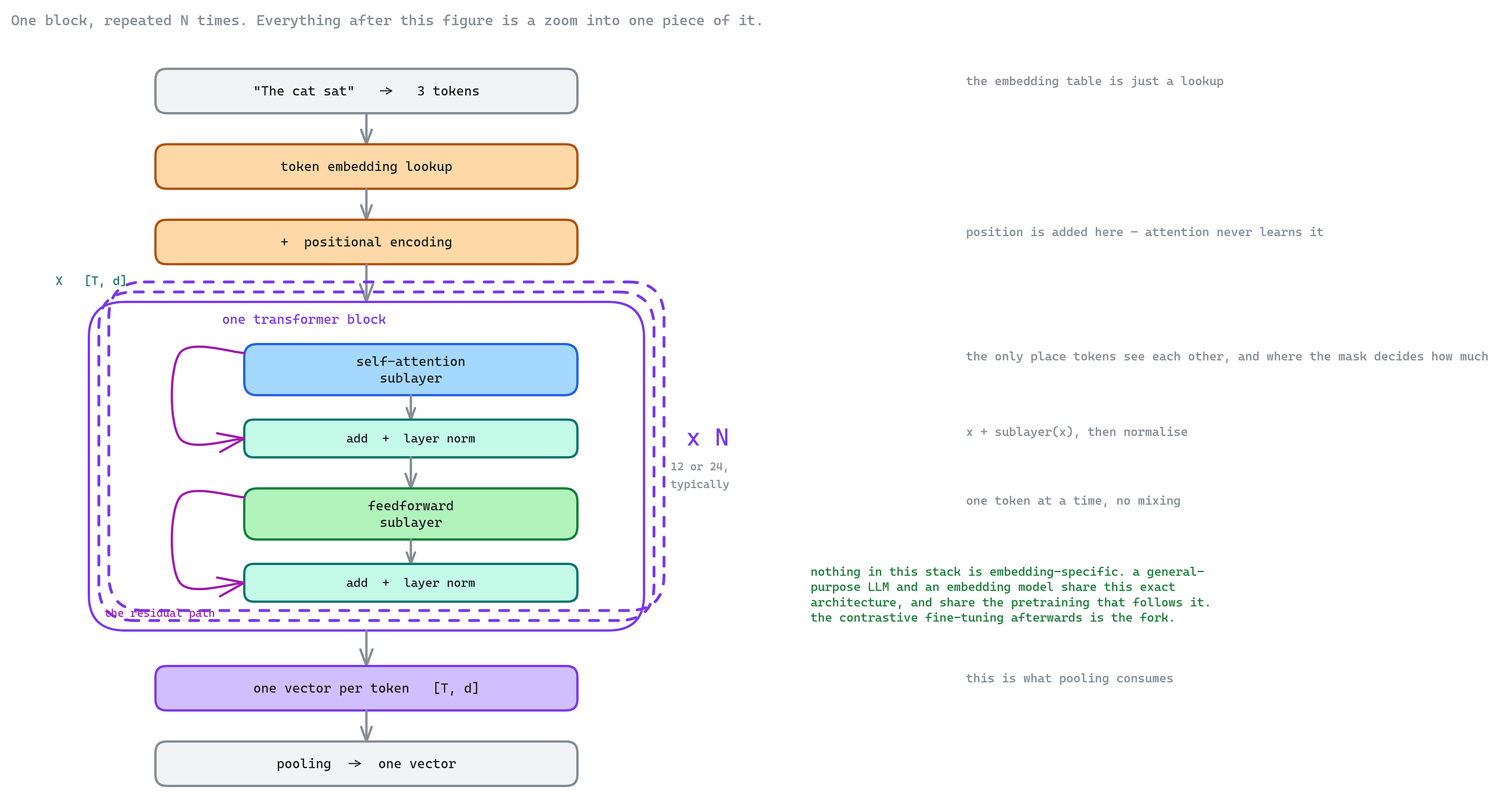 Inside the Encoder: Tokens, Attention, and How a Transformer Actually Works