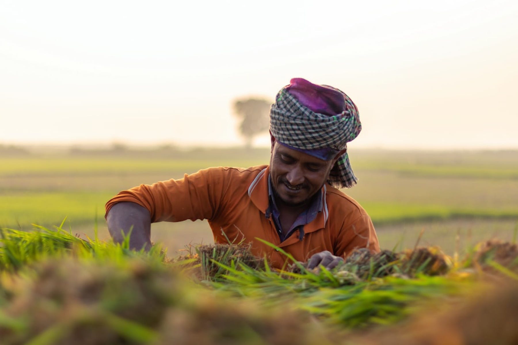 AI and the Indian Farmer – The Revolution Happening in the Fields