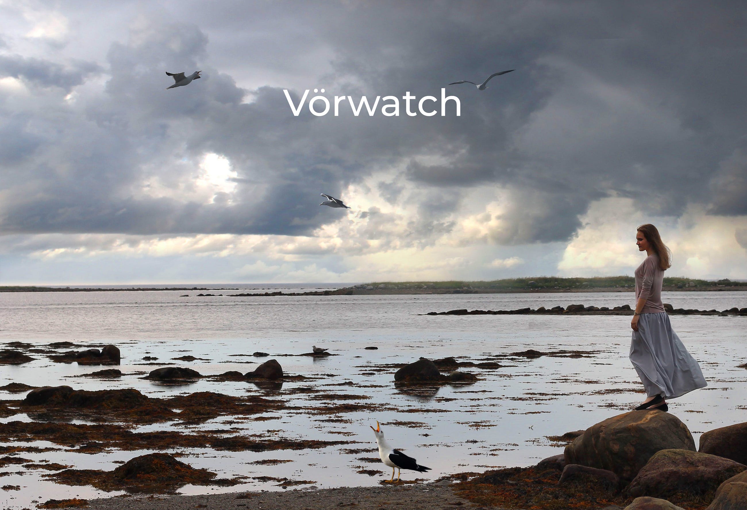 Vörwatch: The VPS Monitoring Tool We built because we needed to know.
