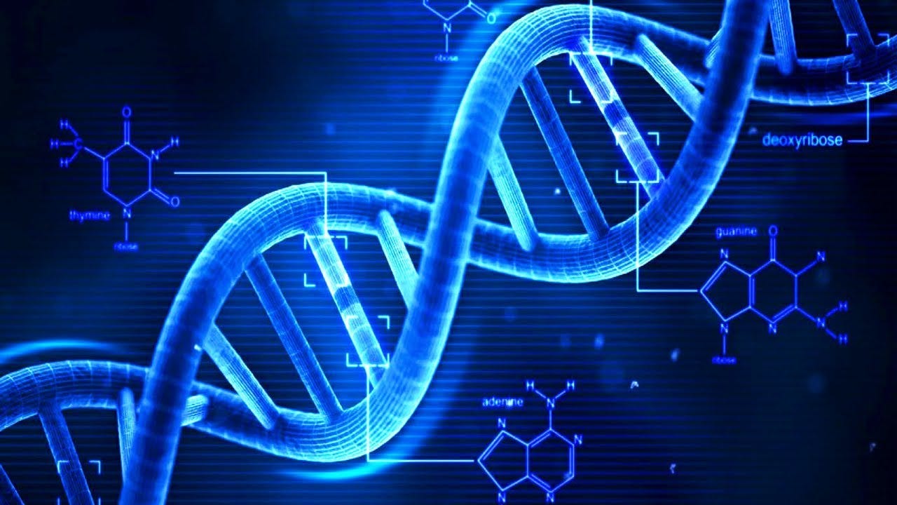 10 Datos Sobre El Adn Ebc Laboratorio De Patología Quirúrgica Medium 8495