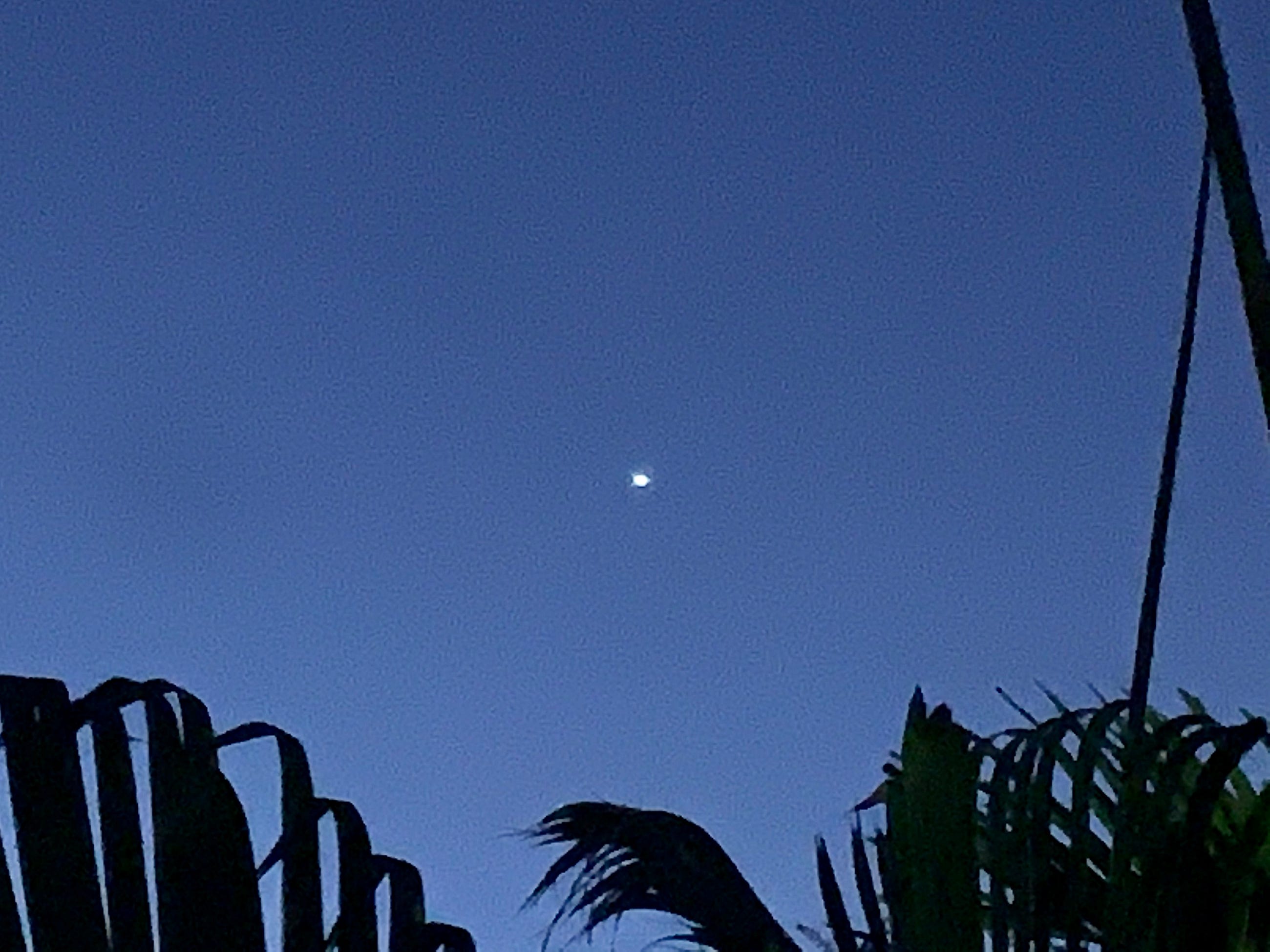 What’s Up in the Sky- | June 30–July 6