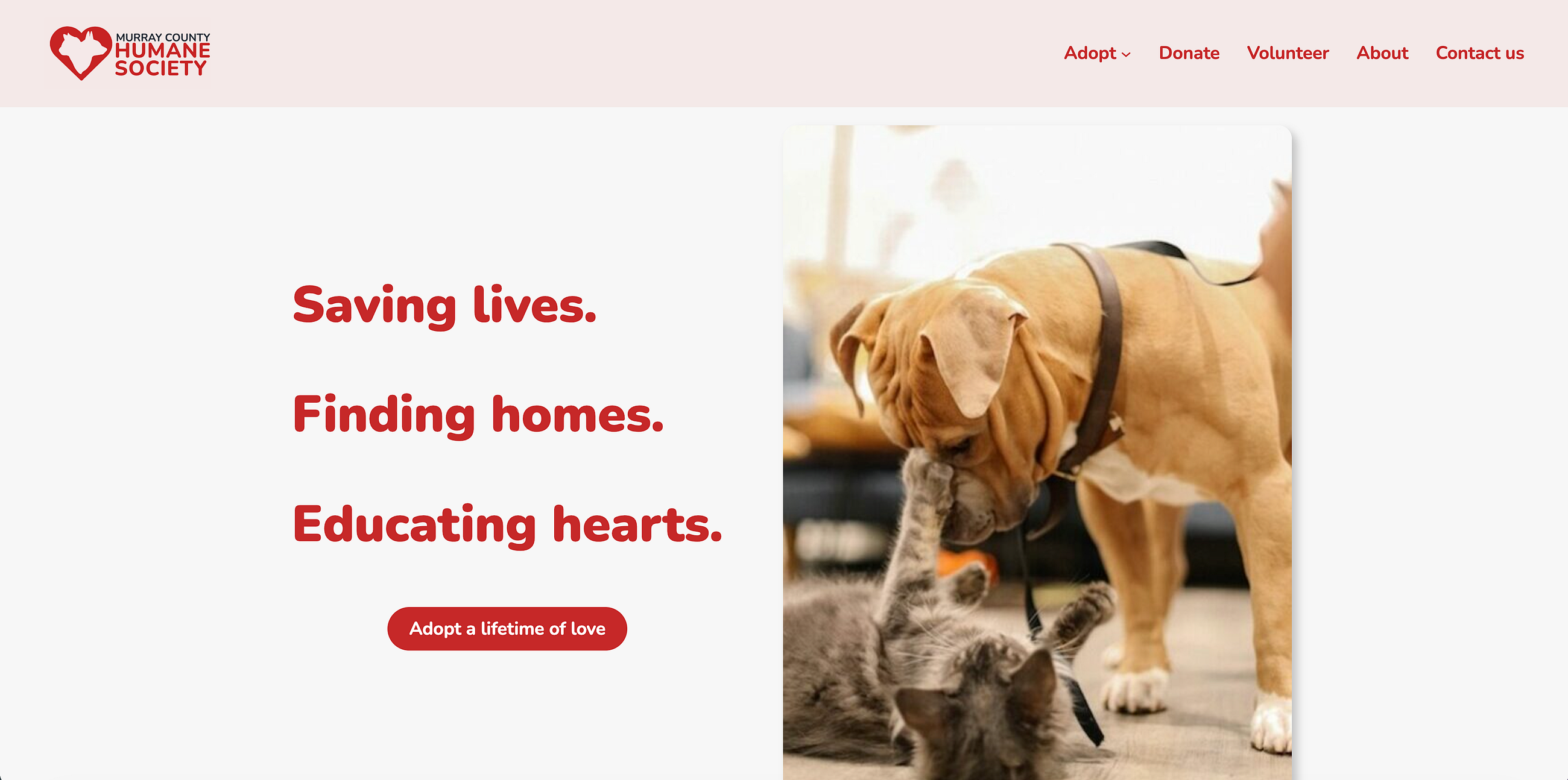 Emerging Media Case Study Collection — Murray County Humane Society Website Redesign