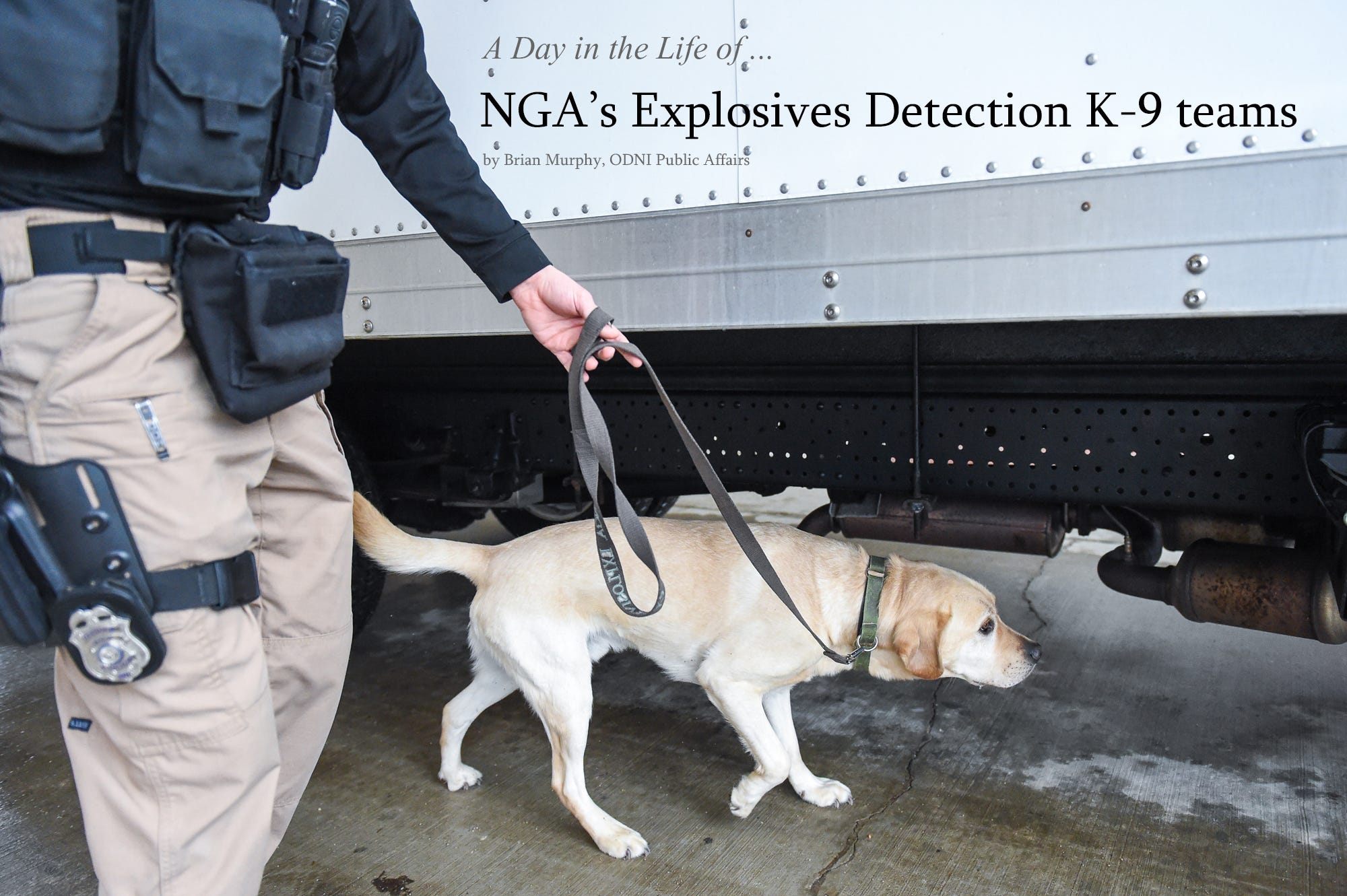 A Day in the Life of … NGA’s Explosives Detection K9 teams