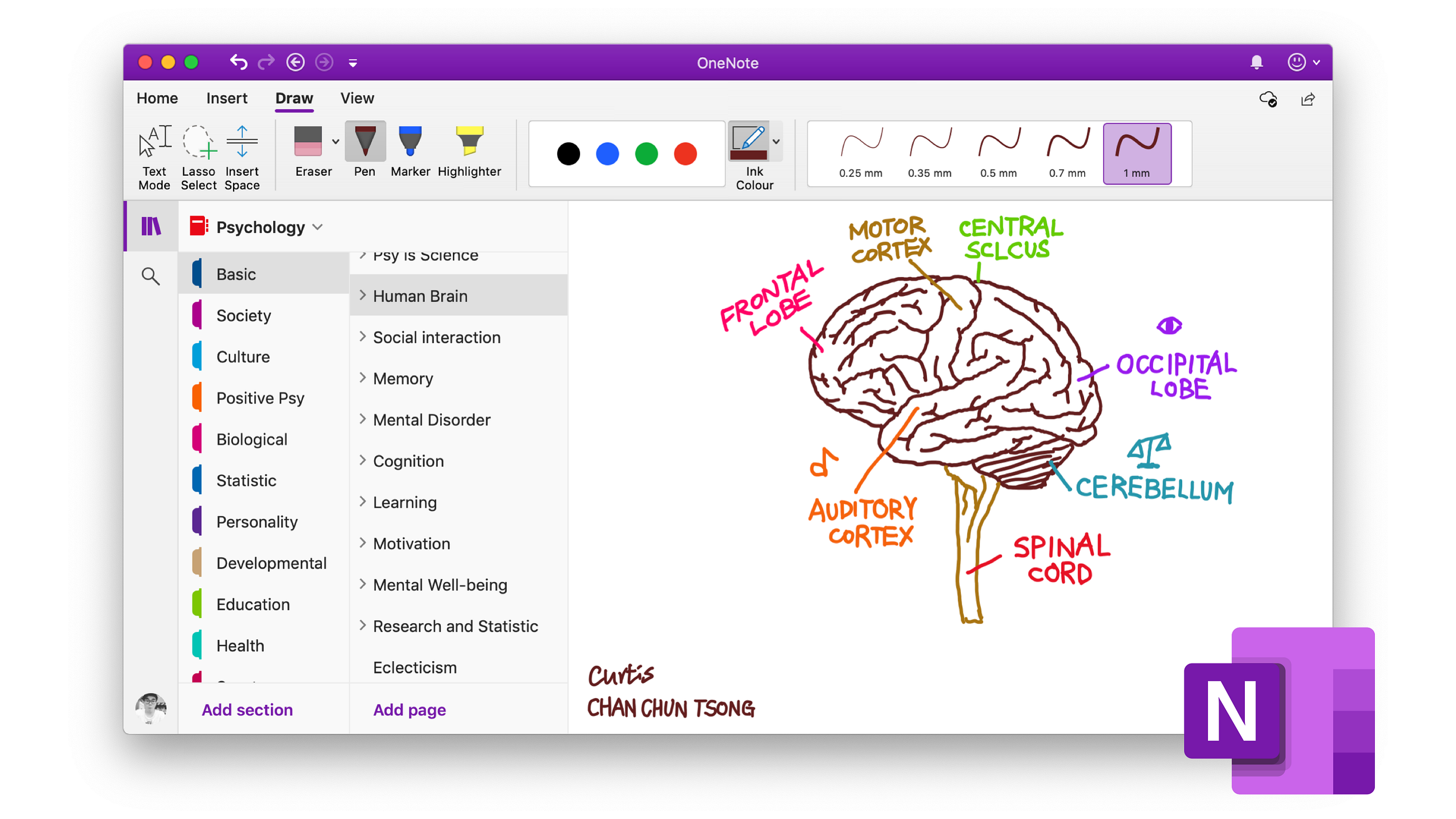 quick notes onenote