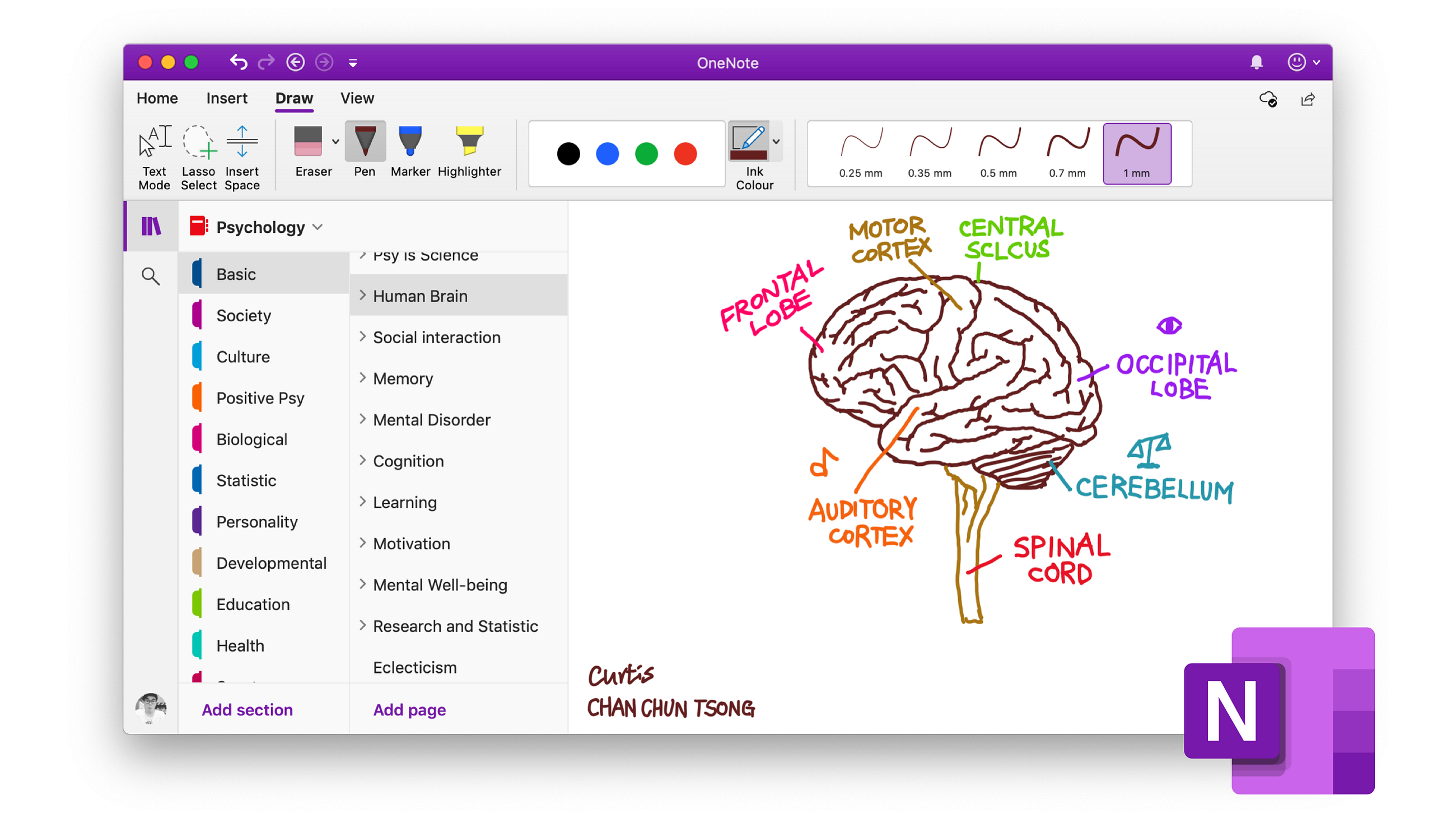 visual paradigm onenote