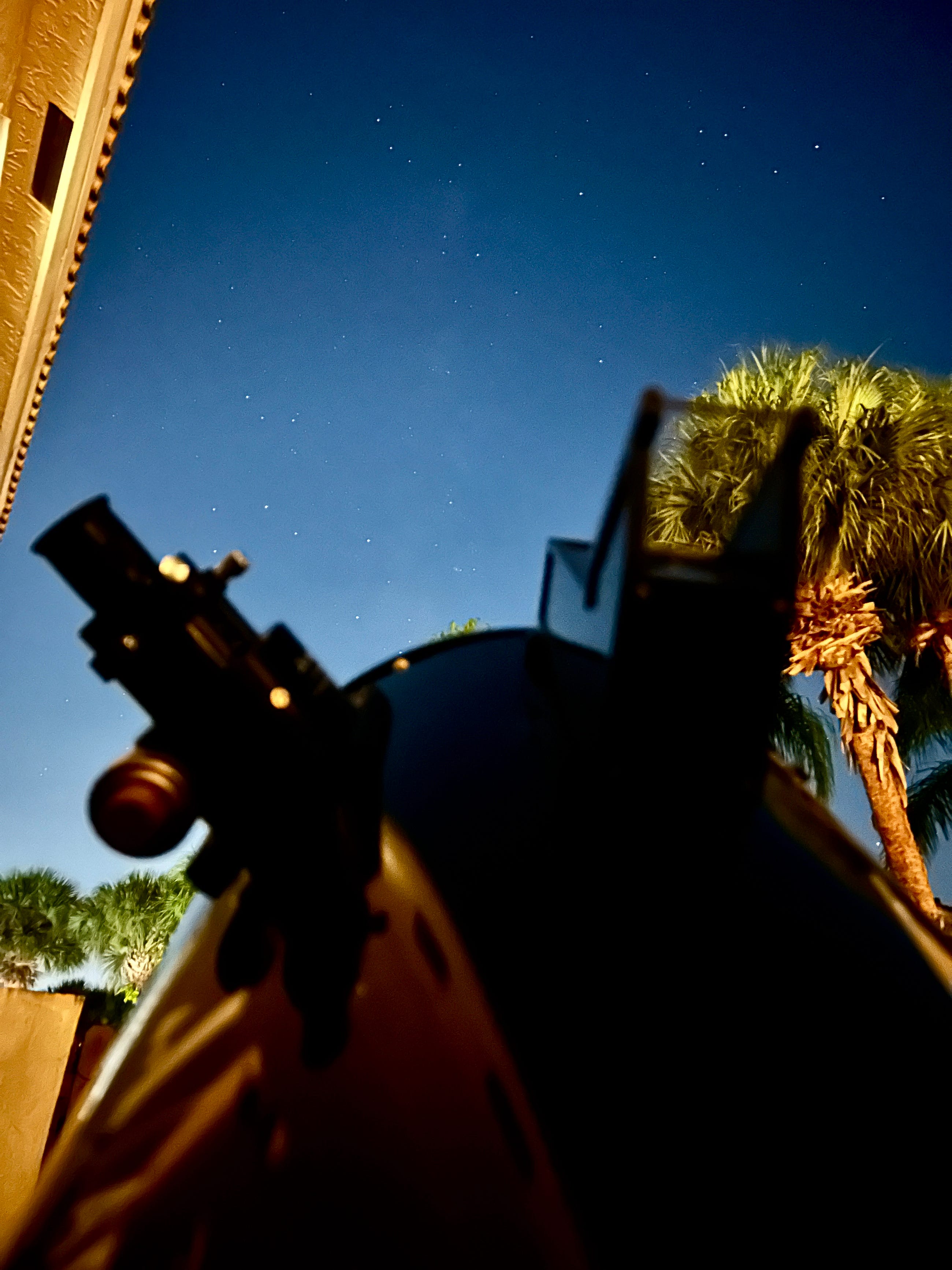 What’s Up in the Sky- | July 21–27