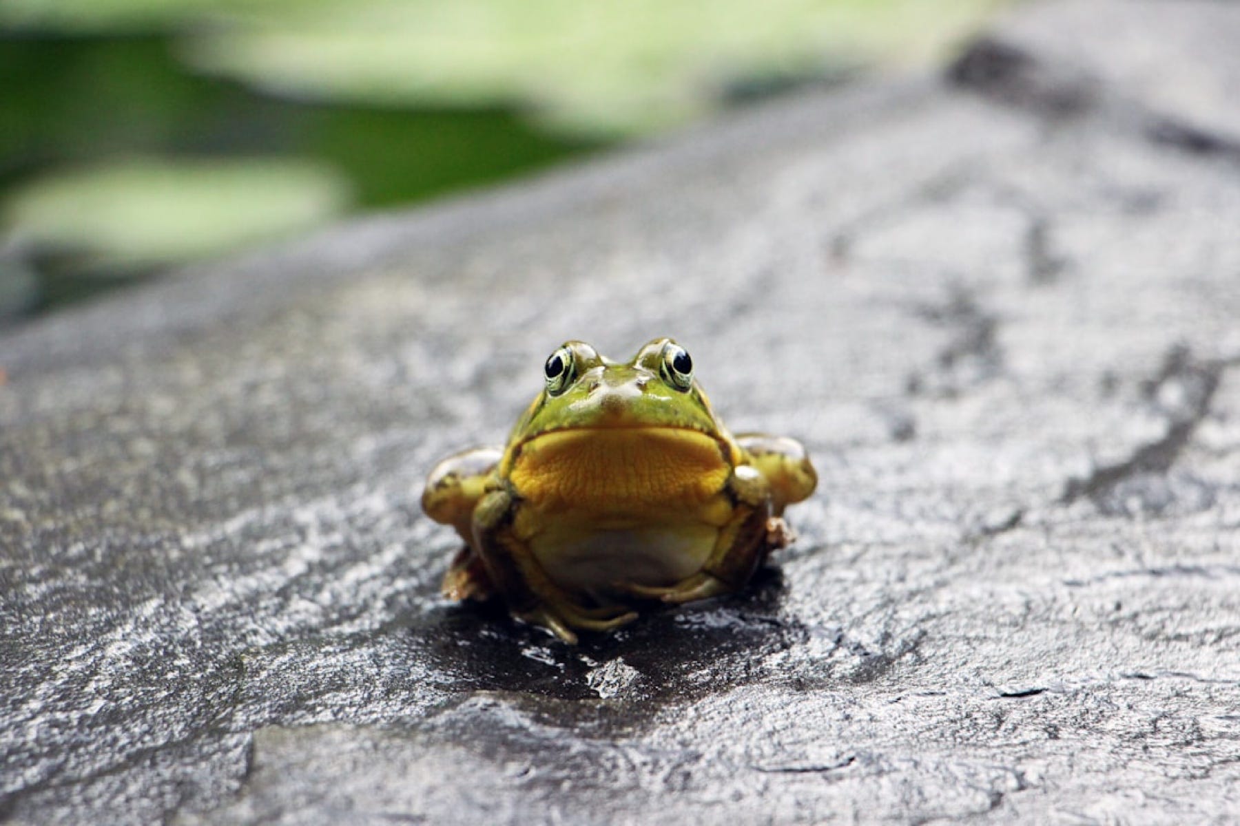 Earth Observation on Medium - Today, the World Showed Me…