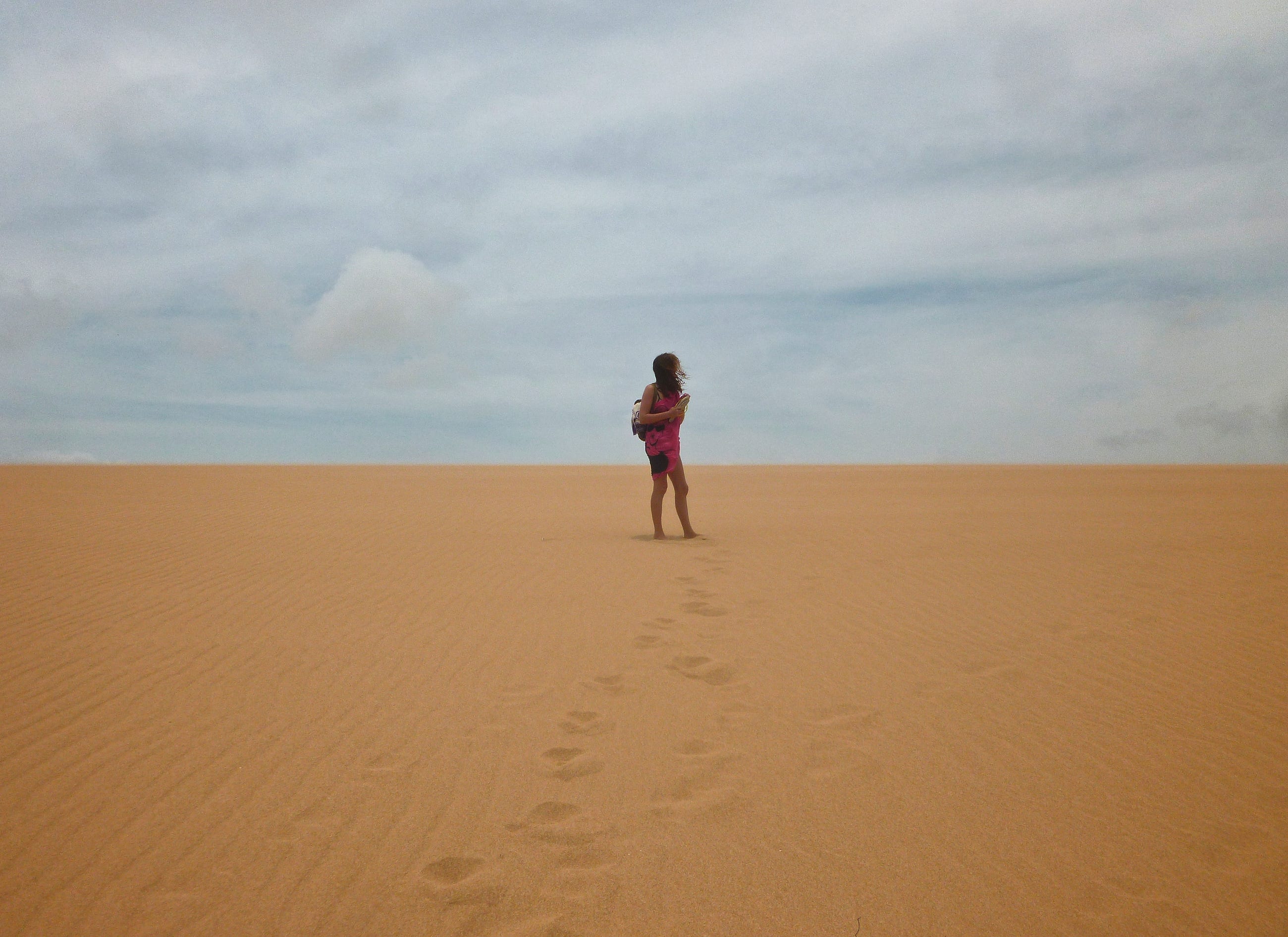 stalker of the endless dunes