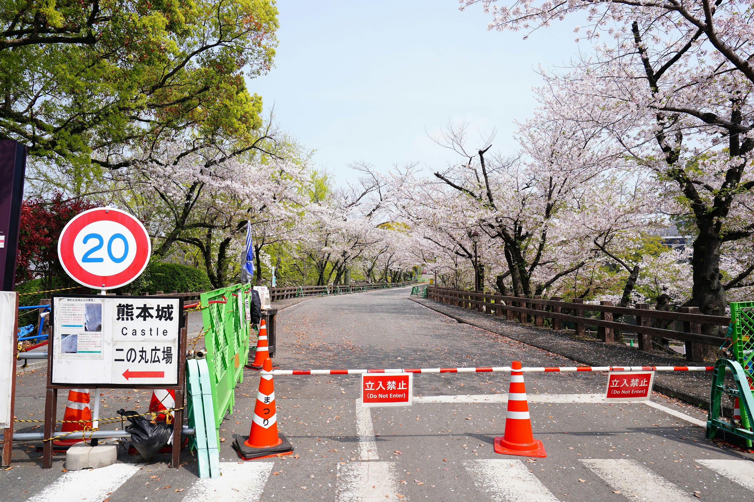 The Plumbing Problem: Why Japan’s Startup Pipeline is Clogged by 1980s Paperwork