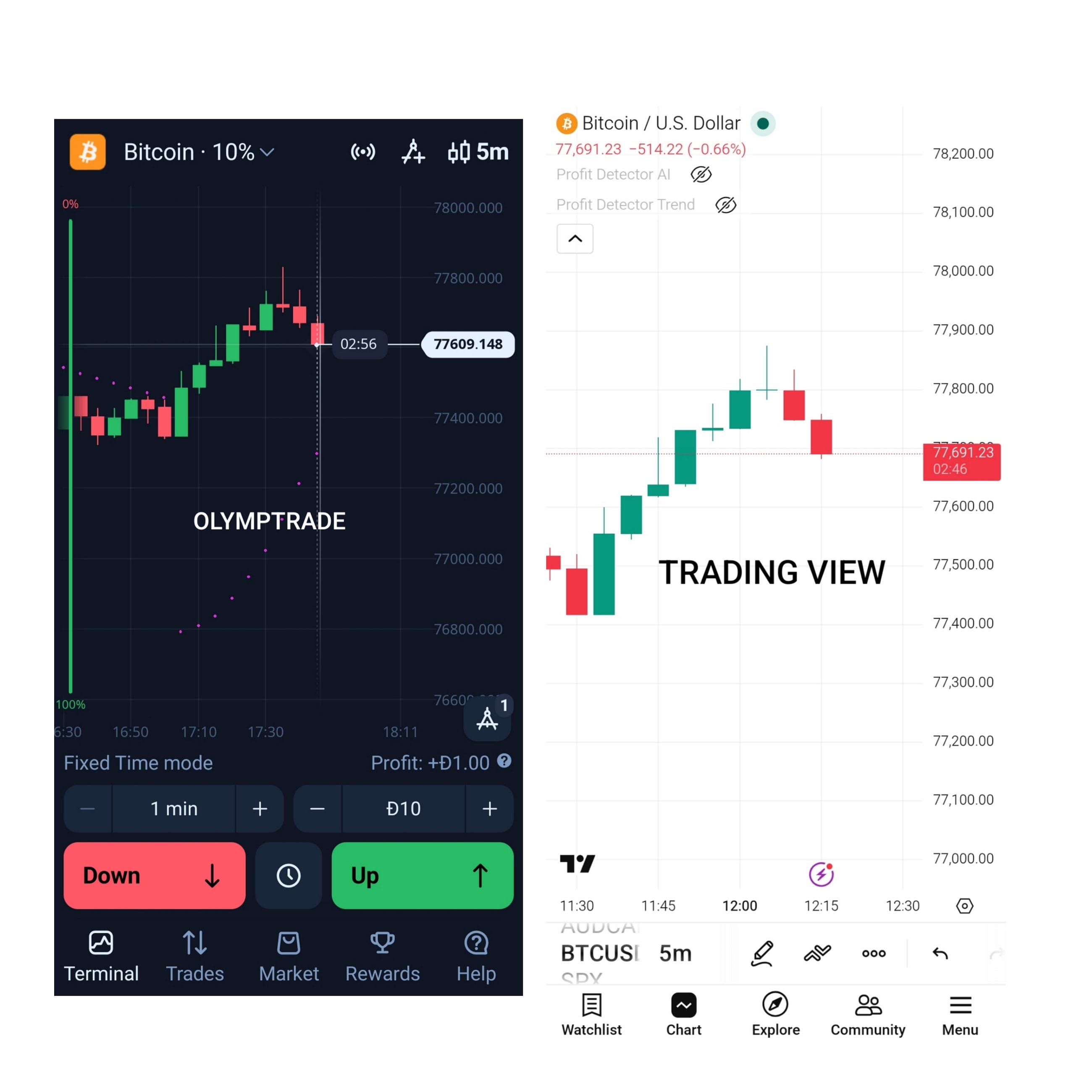 Is Olymp Trade Real or Fake?