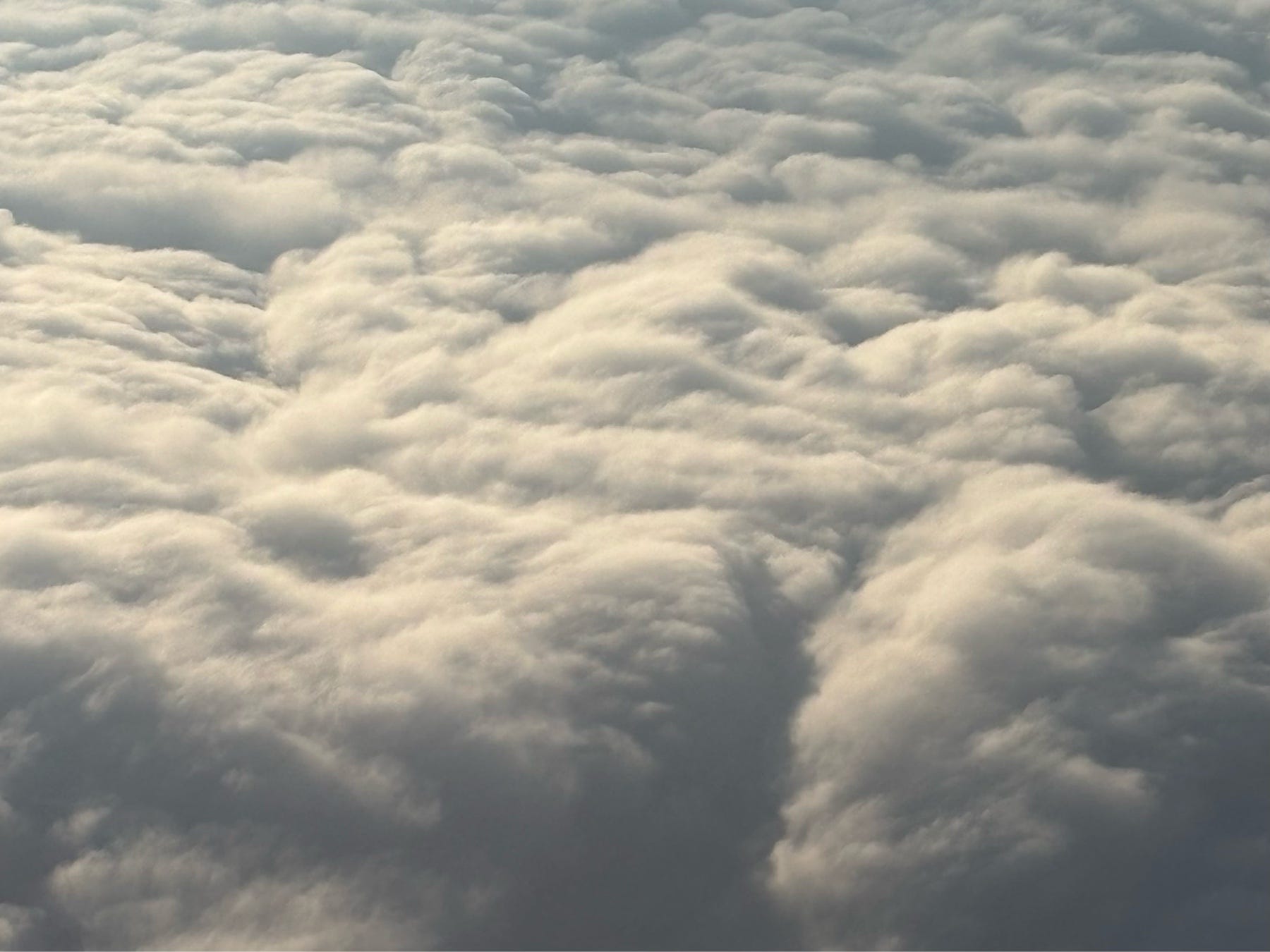Flight Complaint Flight Complaint