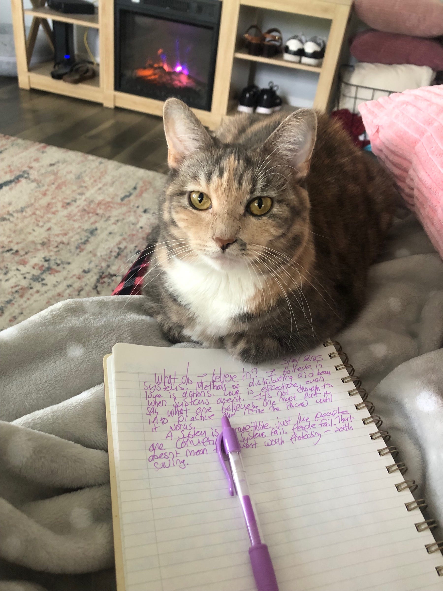 I Asked Chat GPT to Analyze My Writing