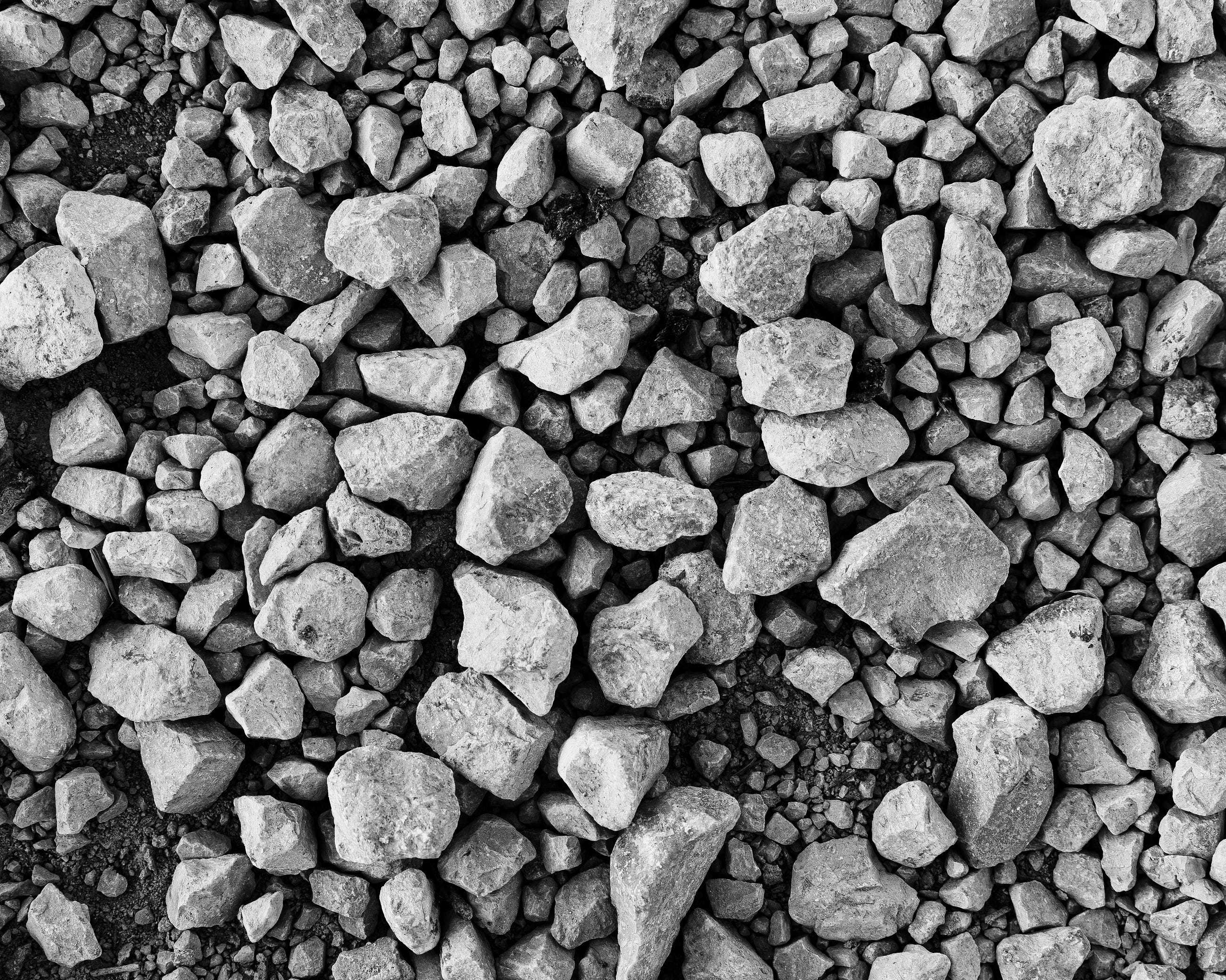 Should I use random data for TDD tests?