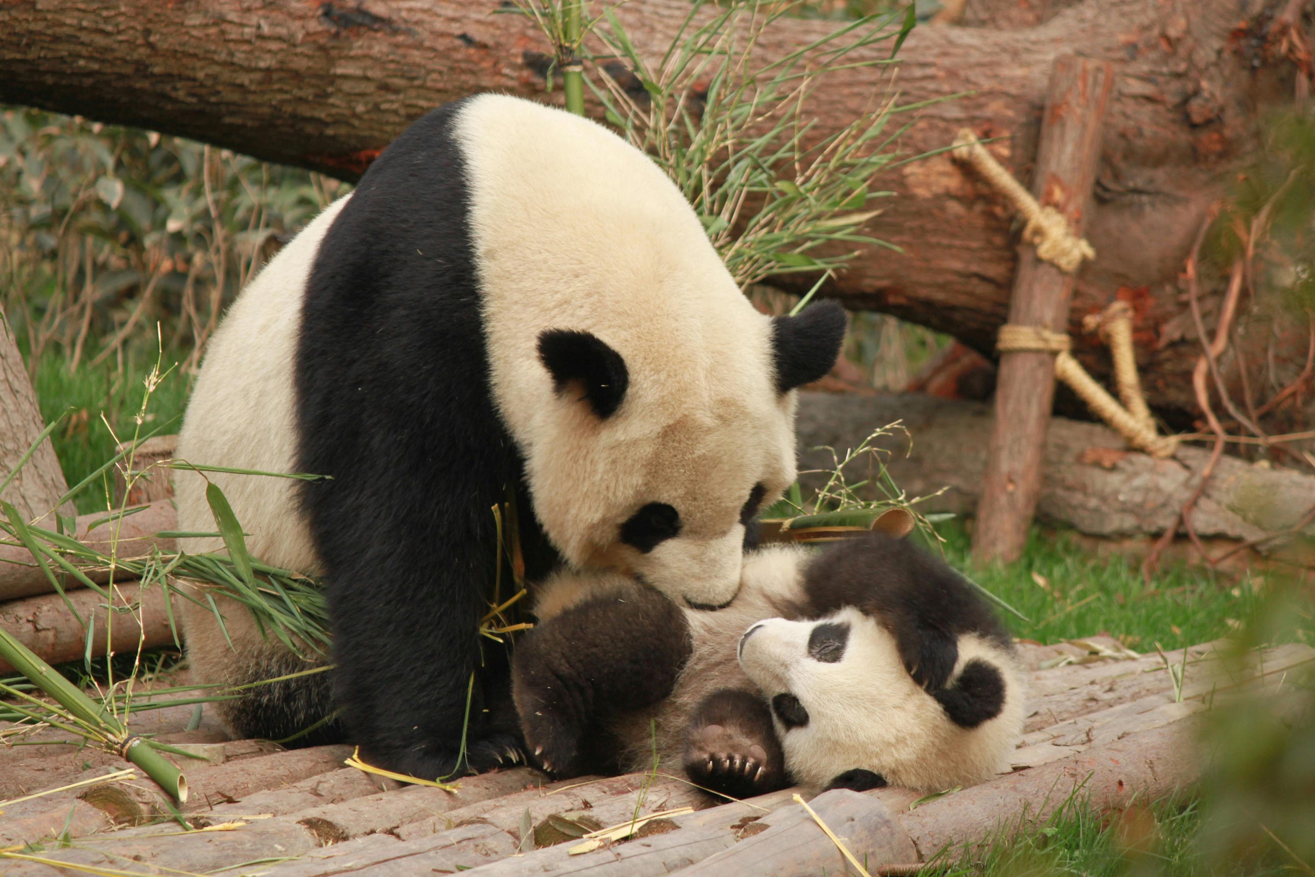 Pandas 3.0 Changes More Than You Think
