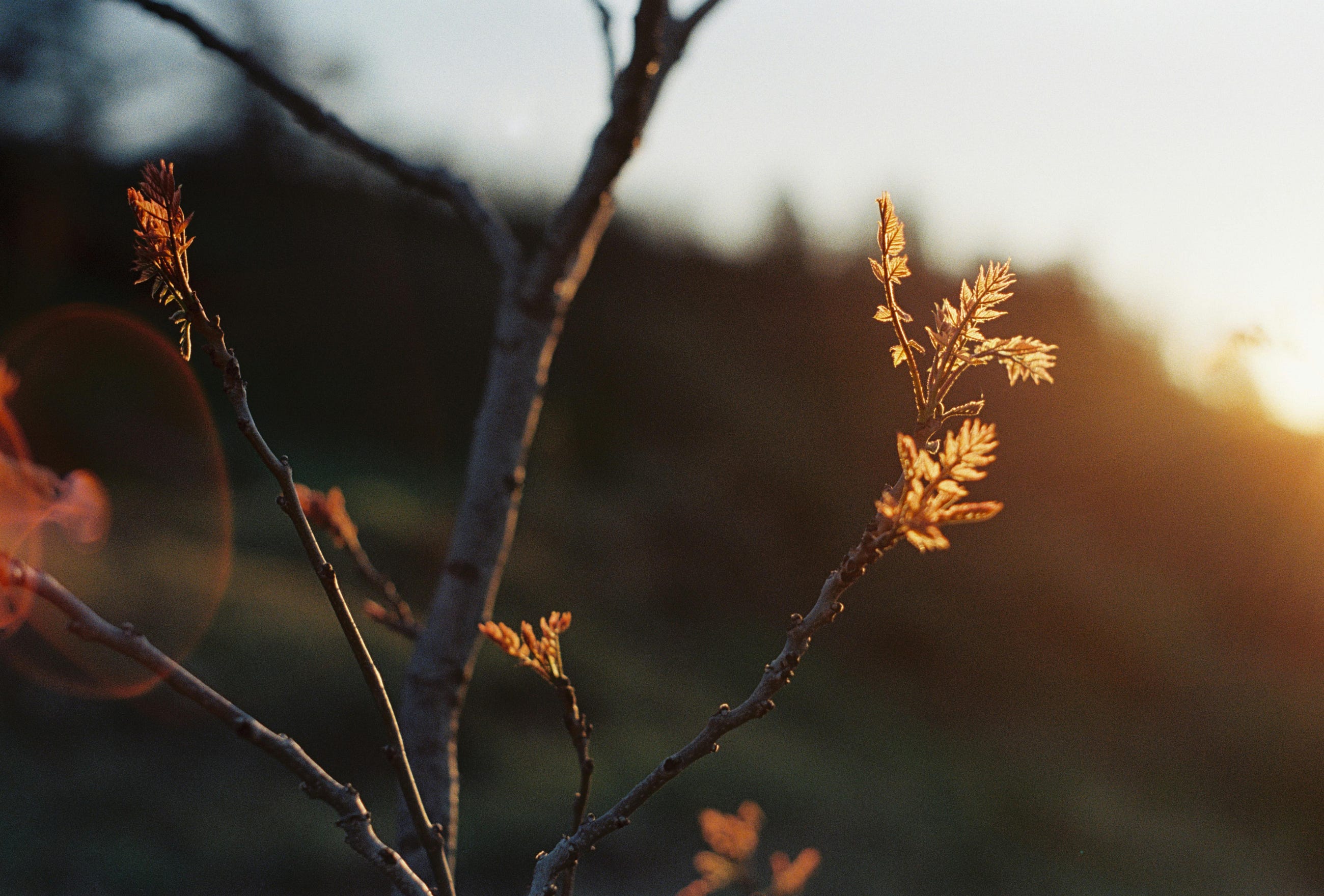 On finding purpose when nothing feels meaningful anymore