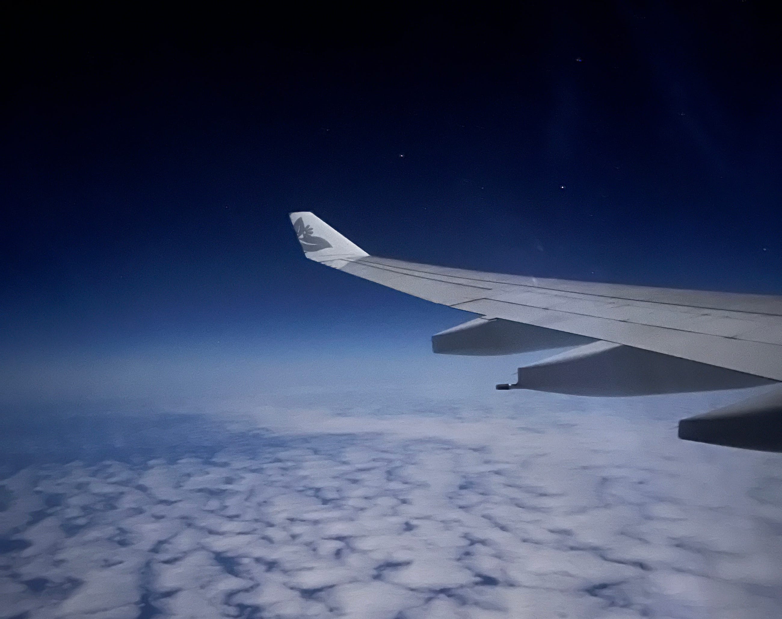 Day 21?—?Is Free Wi-Fi on Planes Actually Good- Day 21?—?Is Free Wi-Fi on Planes Actually Good-