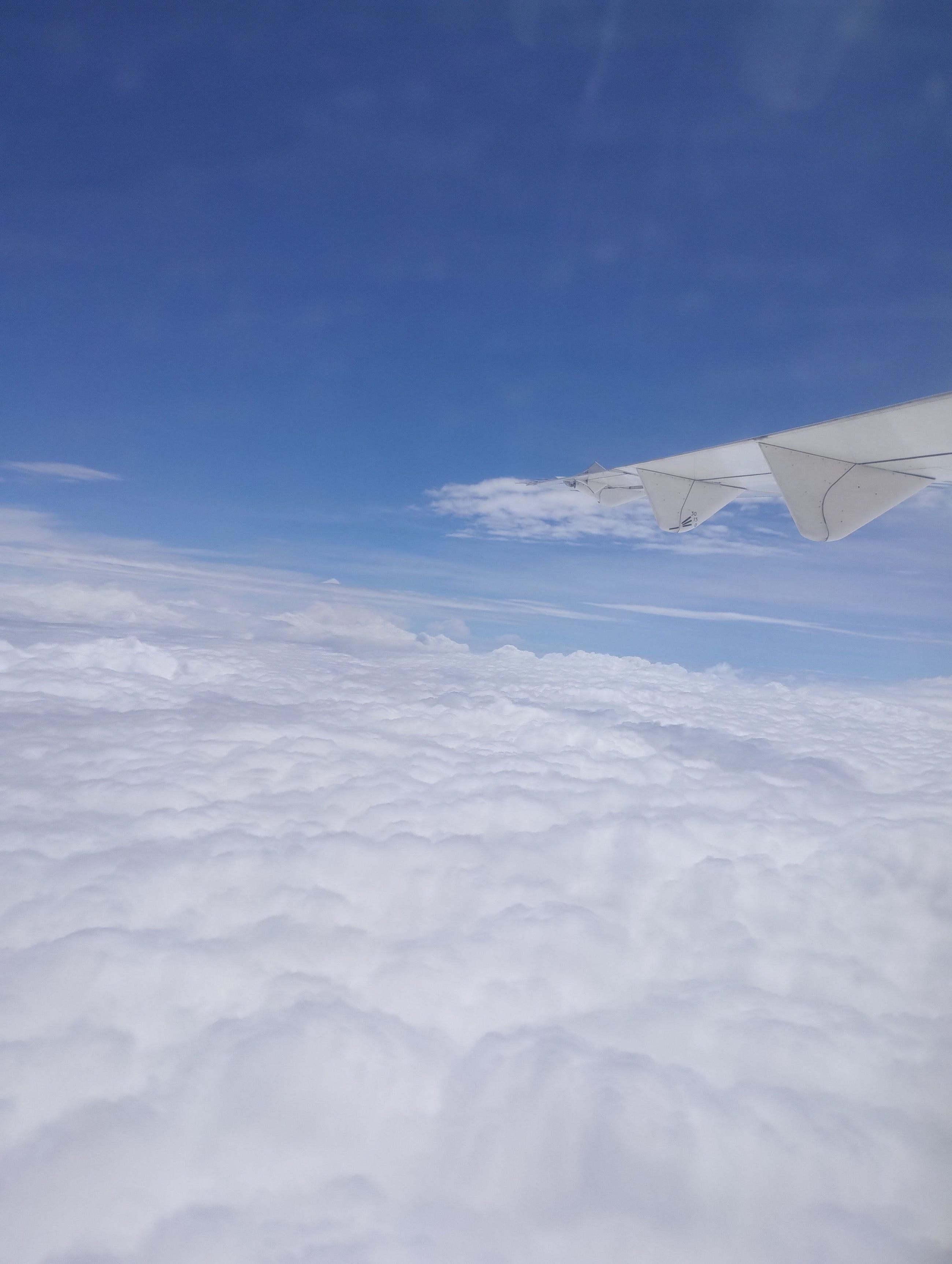 In the Clouds