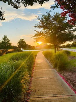 Nature Vibes Good Vibes Club Medium