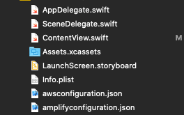 A screenshot of Xcode showing all the files inside the Project now