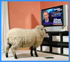 Image result for fox viewership uneducated