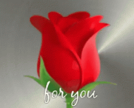 Flowers Roses GIF - Flowers Roses Rose - Descubre & Comparte GIFs - flowers roses gif