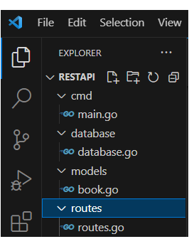 golang project structure