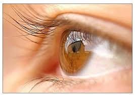 10 Proven Methods to Naturally Improve Your Eyesight