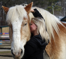 Boomer (horse) and friend.