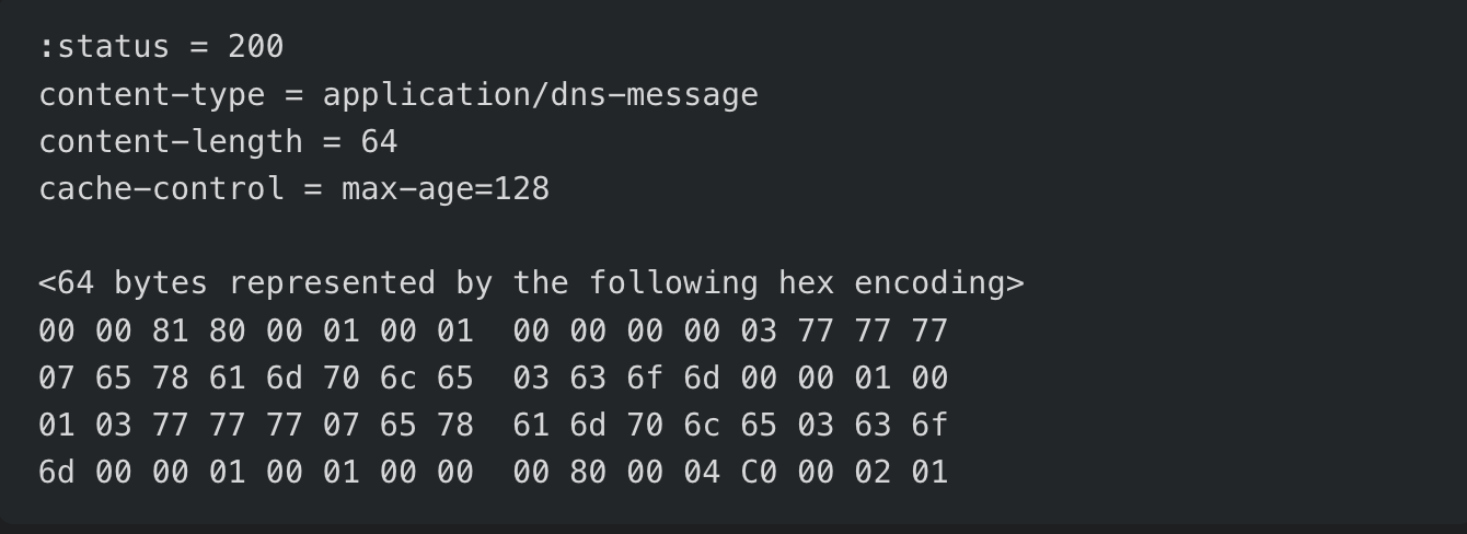 Raw DNS Wire Format