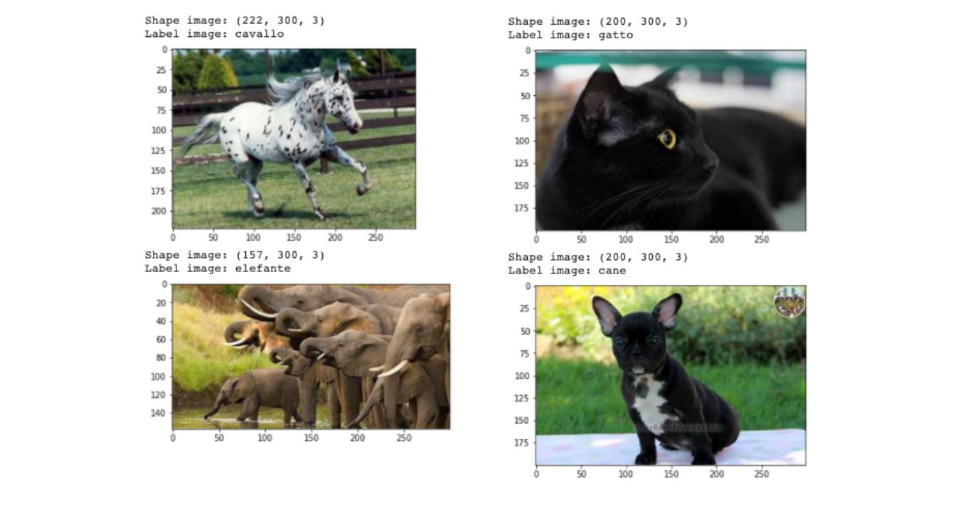 Four random images in the dataset — Image by author