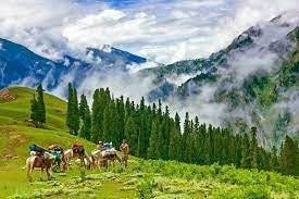 Horses with a horsemen on a lush green meadow with clouds on a mountain and trees in its background