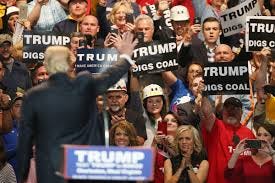 Image result for coal trump