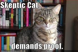 skepticat