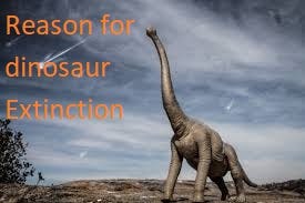 Reason for dinosaur Extinction