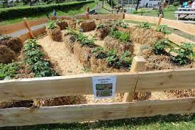 Straw Bale Gardening: A Sustainable Approach to Growing Your Garden