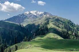 A tall snowy peak looks like, holding blue sky with white clouds and green meadow with trees are giving immense beautiful view.