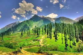 White clouds in blue sky with some green peaks in background of a lush meadow with tall green trees.