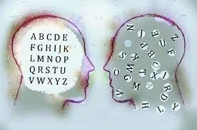 The dyslexia brain. © Alex Noudelman