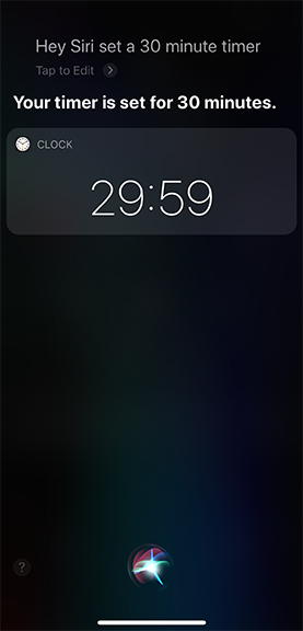 Screen shot of an iPhone with Siri setting a 30 min timer