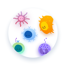 Some immune cells floating amiably in a circle, like a petri dish