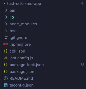 A screenshot of the folder structure of a default aws-cdk template