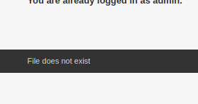 File does not exist
