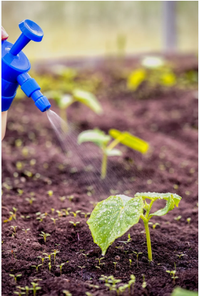 calcium plus for plants