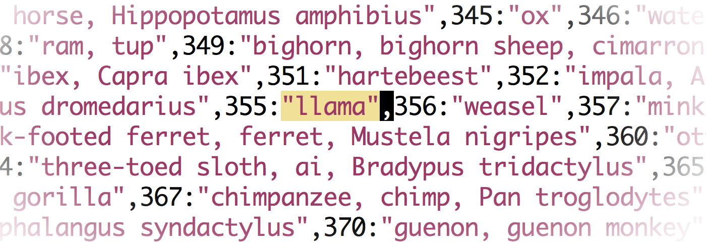 Some of the text from the [MobileNet JavaScript file](https://cdn.jsdelivr.net/npm/@tensorflow-models/mobilenet@0.1.1). One of the collection’s entries is “llama”.