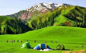 Two green camps and a blue camp between the both on a lush green meadow with a snowy high mountain and green trees in its background