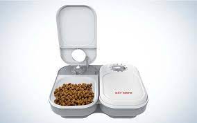 Best Automatic Cat Feeder Wet Food Dispensers