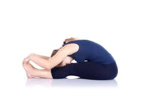 Seat Forward and Bend Pose