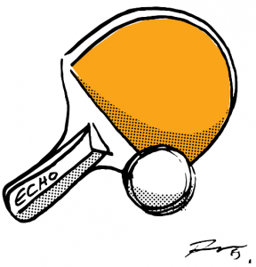 An ECHO-brand ping pong paddle and ball.