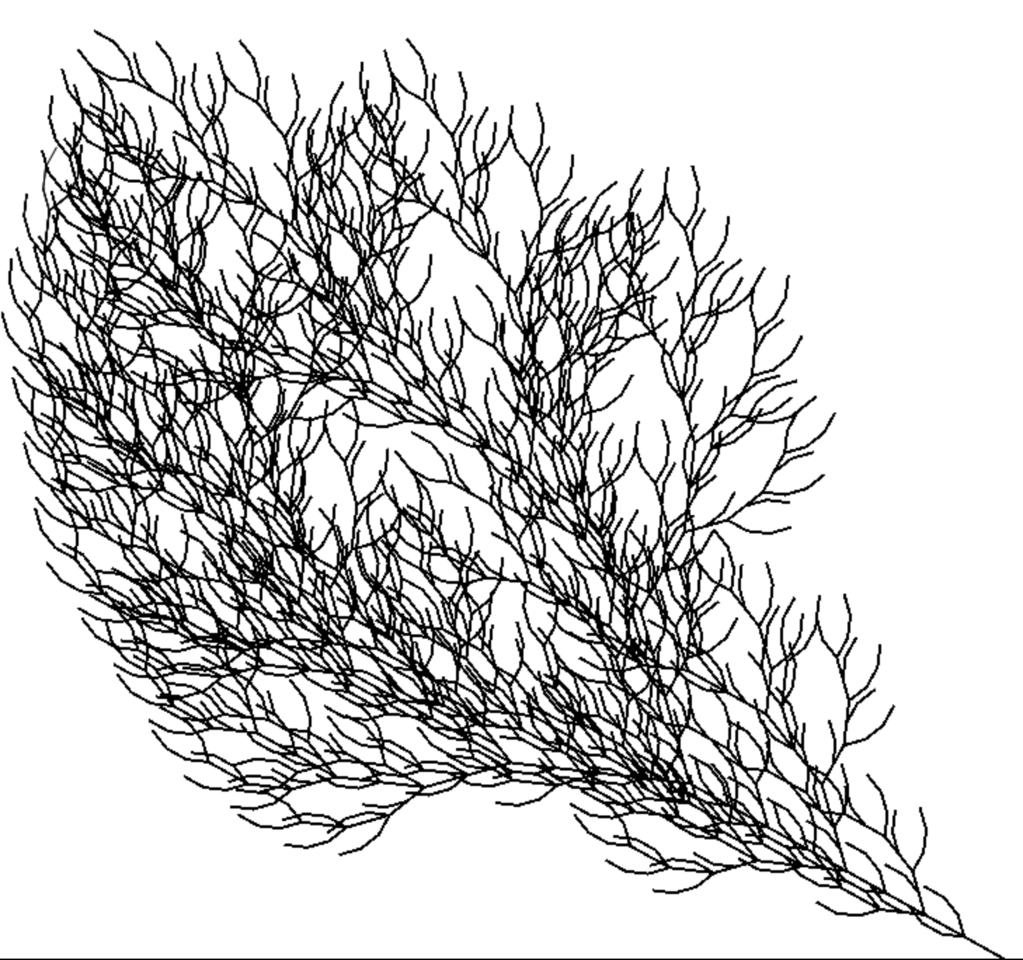 Fractal Curve Tree (5 iterations)